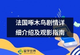 法国啄木鸟剧情详细介绍及观影指南，你想知道的都在这里