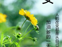 3 月 31 日每日八卦，精彩不容错过