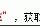 艳星出道的选美冠军华丽转型，担任国际经济研究院院长