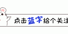 陈冲加入美国国籍后回国养老，马丽的话被她证明了