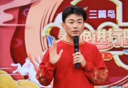 王宝强出席政协会 详细解读明星如何当上政协委员