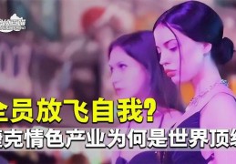 世界色情业大调查：日欧开放，美国扫黄忙不停