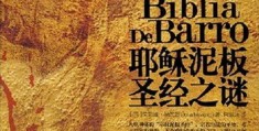 2010 年印度澳大利亚，卡琳娜·卡普尔、卡卓儿、约翰·亚伯拉罕的精彩故事