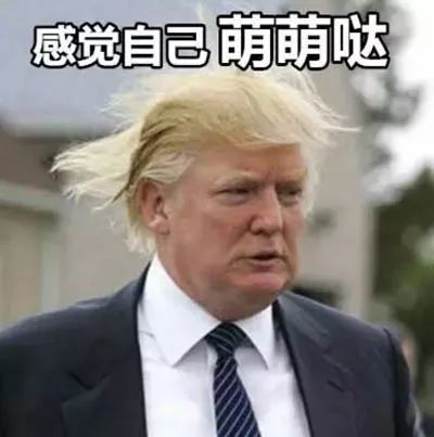 美国艳星斯托米,丹尼尔斯_美国艳星斯托米,丹尼尔斯_美国艳星斯托米,丹尼尔斯