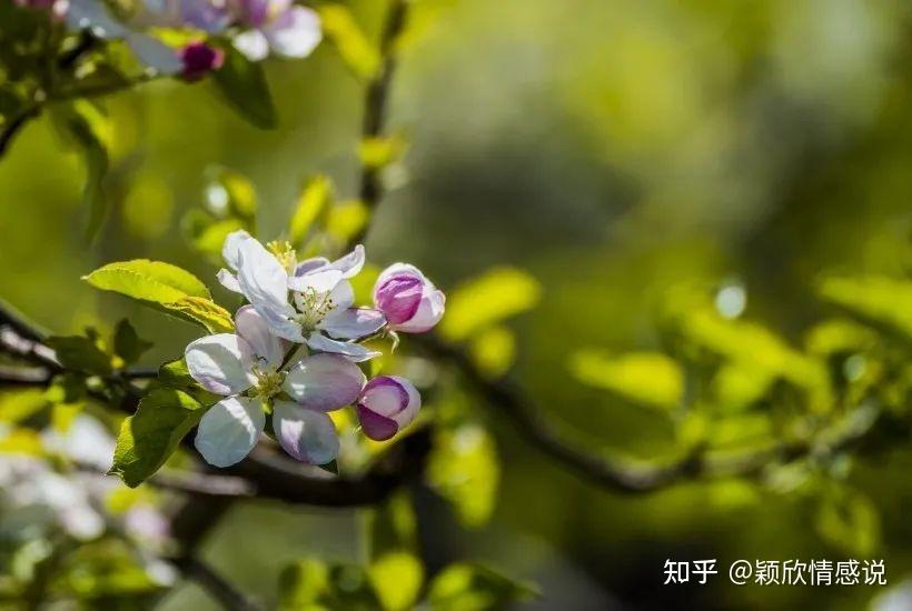 嫁入豪门的巨星_豪门嫁入艳星免费阅读_嫁入豪门的艳星