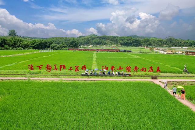 香港艳星彭丹当选甘肃省政协委员后_香港艳星彭丹当选甘肃省政协委员后_香港艳星彭丹当选甘肃省政协委员后