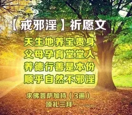 电影一生绝代艳星宝莲在线观看_电影一生绝代艳星宝莲是谁演的_电影绝代艳星宝莲一生